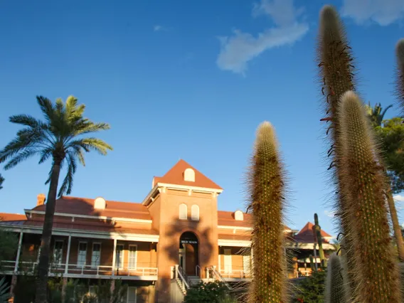 Cactus in front of Old Main