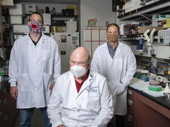 Researchers in lab