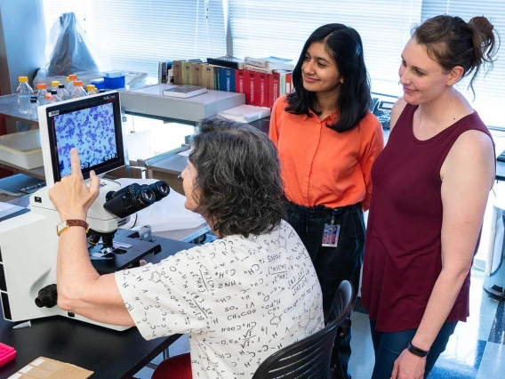 Donata Vercelli, MD, (seated) shows Sree Kumar and Avery Ann DeVries, PhD, some research findings on a computer screen..
