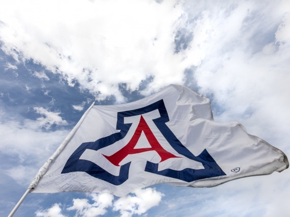 University of Arizona flag