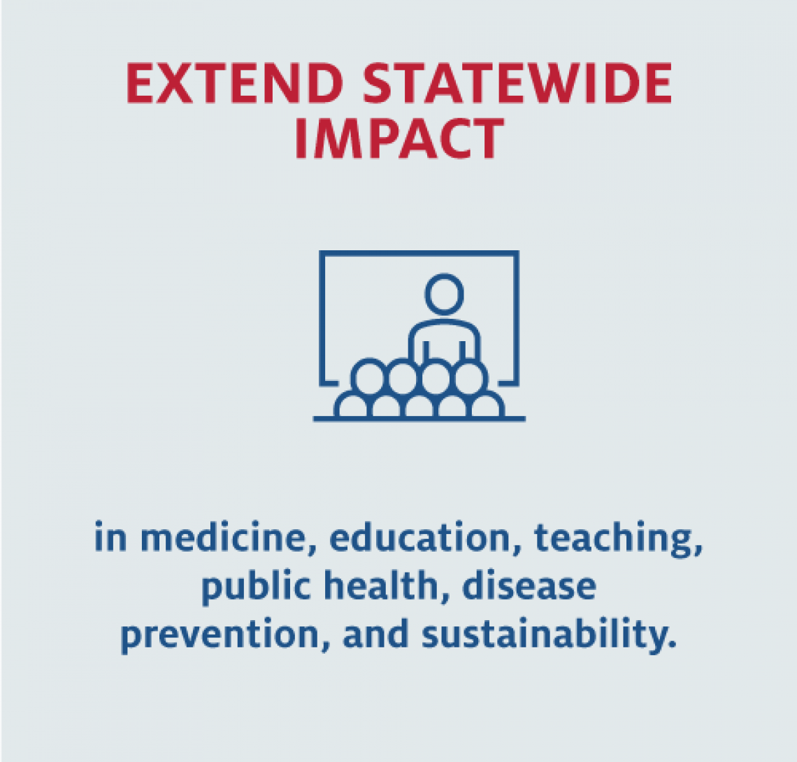 Extend Statewide Impact