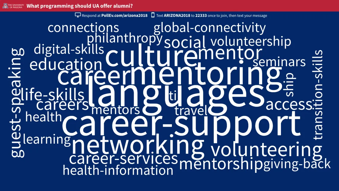 Word cloud focused on career and mentoring